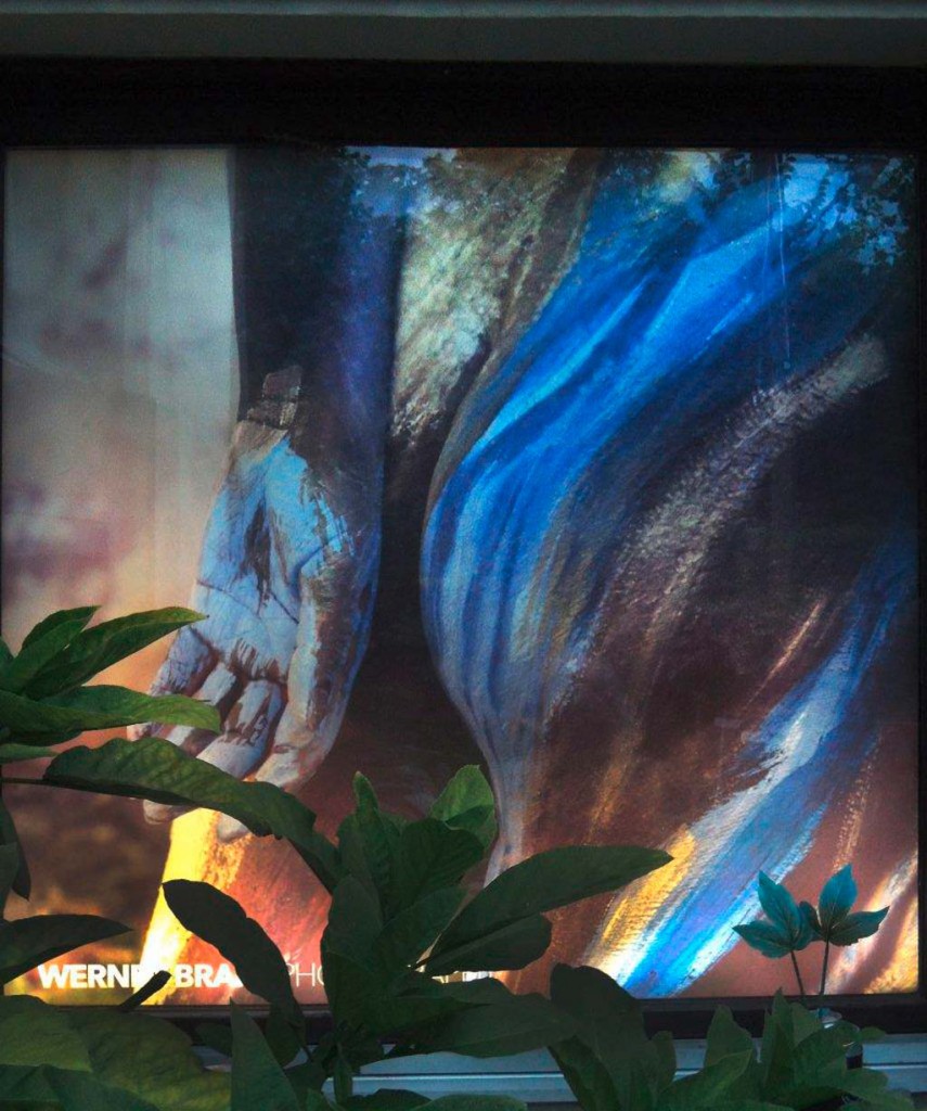 fenster2