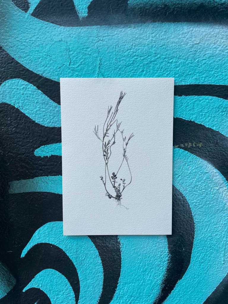 Ortner_StreetArt3