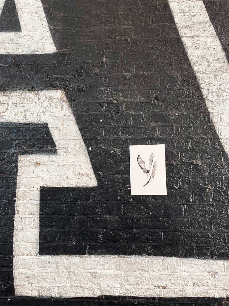 Ortner_StreetArt8